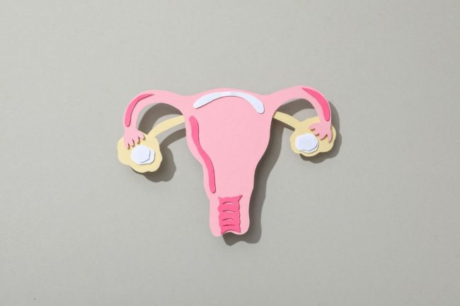 como-tratar-menopausa