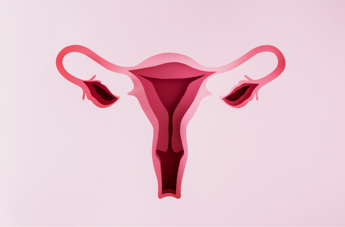 Histerectomia | Clínica Mulher Ribeirão Preto